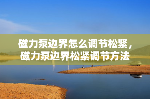 磁力泵边界怎么调节松紧，磁力泵边界松紧调节方法