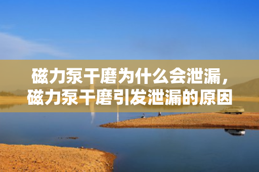 磁力泵干磨为什么会泄漏，磁力泵干磨引发泄漏的原因解析