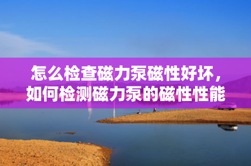 怎么检查磁力泵磁性好坏，如何检测磁力泵的磁性性能优劣