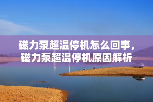 磁力泵超温停机怎么回事，磁力泵超温?；蚪馕? title=