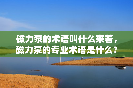 磁力泵的术语叫什么来着，磁力泵的专业术语是什么？