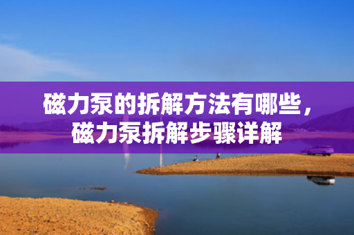 磁力泵的拆解方法有哪些，磁力泵拆解步骤详解