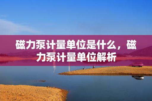 磁力泵计量单位是什么，磁力泵计量单位解析