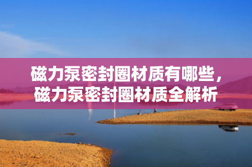 磁力泵密封圈材质有哪些，磁力泵密封圈材质全解析