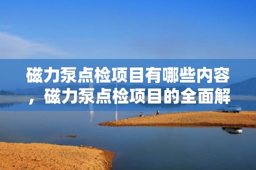 磁力泵点检项目有哪些内容，磁力泵点检项目的全面解析