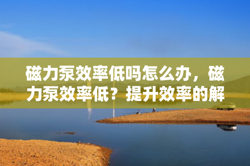 磁力泵效率低吗怎么办，磁力泵效率低？提升效率的解决方案在这里！