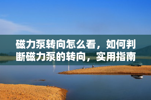 磁力泵转向怎么看，如何判断磁力泵的转向，实用指南