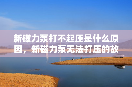 新磁力泵打不起压是什么原因，新磁力泵无法打压的故障排查与解决方案