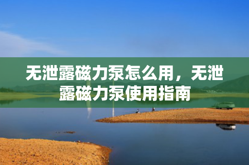 无泄露磁力泵怎么用，无泄露磁力泵使用指南