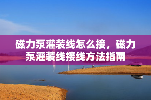 磁力泵灌装线怎么接，磁力泵灌装线接线方法指南