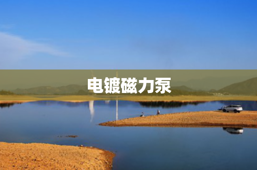 电镀磁力泵