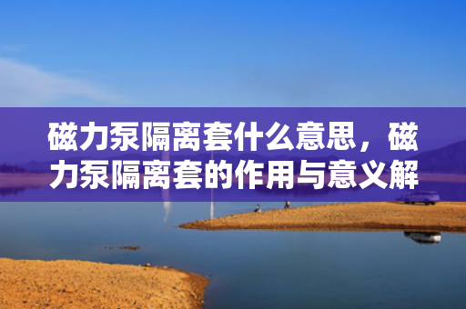 磁力泵隔离套什么意思，磁力泵隔离套的作用与意义解析