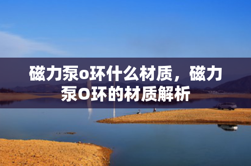 磁力泵o环什么材质，磁力泵O环的材质解析
