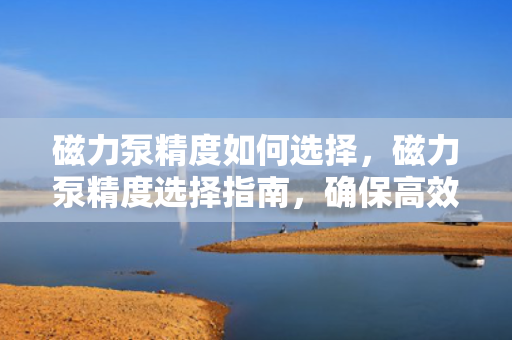 磁力泵精度如何选择，磁力泵精度选择指南，确保高效稳定运行的关键因素