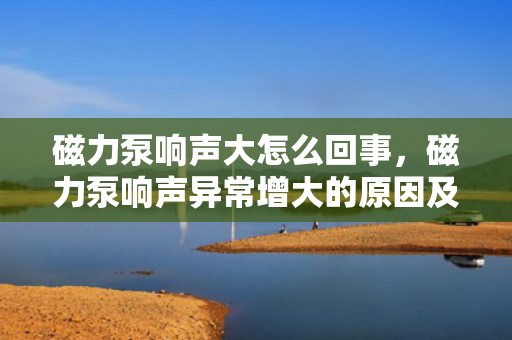 磁力泵响声大怎么回事，磁力泵响声异常增大的原因及解决方法