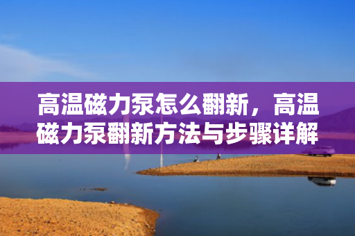 高温磁力泵怎么翻新，高温磁力泵翻新方法与步骤详解