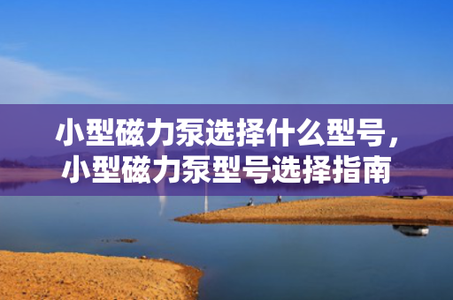 小型磁力泵选择什么型号，小型磁力泵型号选择指南