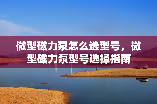 微型磁力泵怎么选型号，微型磁力泵型号选择指南