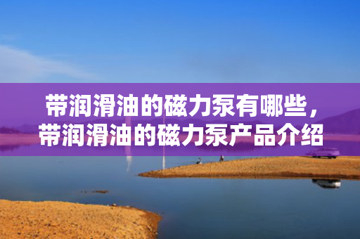 带润滑油的磁力泵有哪些，带润滑油的磁力泵产品介绍
