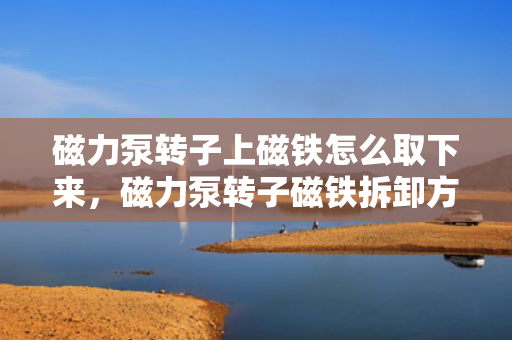 磁力泵转子上磁铁怎么取下来，磁力泵转子磁铁拆卸方法