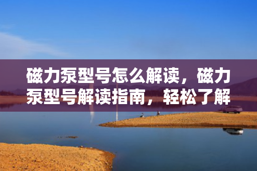 磁力泵型号怎么解读，磁力泵型号解读指南，轻松了解并选择适合的磁力泵