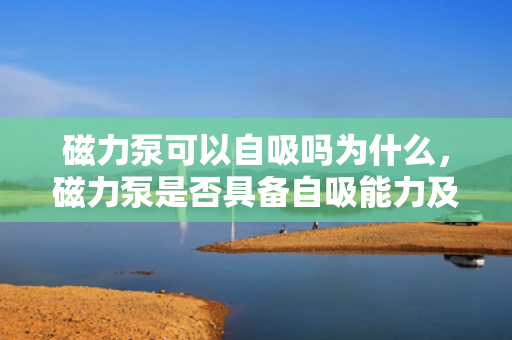 磁力泵可以自吸吗为什么，磁力泵是否具备自吸能力及其原因解析