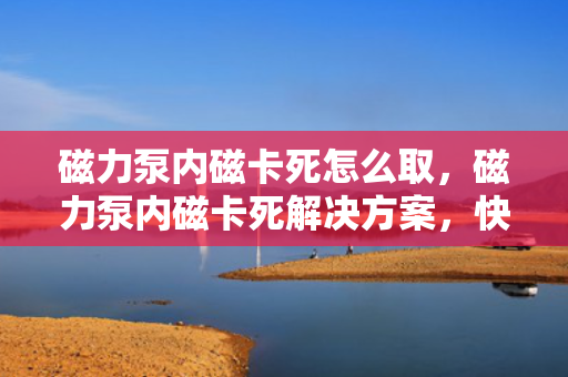 磁力泵内磁卡死怎么取，磁力泵内磁卡死解决方案，快速取出方法指南
