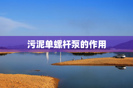 污泥单螺杆泵的作用
