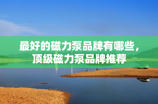 最好的磁力泵品牌有哪些，顶级磁力泵品牌推荐