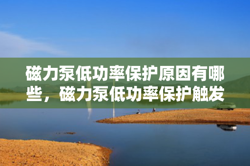 磁力泵低功率保护原因有哪些，磁力泵低功率?；ごシ⒁蛩亟馕? title=