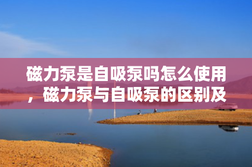 磁力泵是自吸泵吗怎么使用，磁力泵与自吸泵的区别及使用方法解析