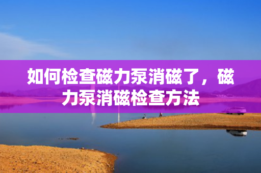 如何检查磁力泵消磁了，磁力泵消磁检查方法