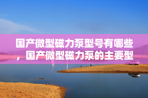 国产微型磁力泵型号有哪些，国产微型磁力泵的主要型号概览