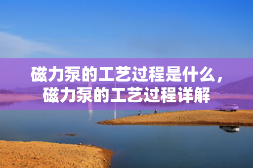 磁力泵的工艺过程是什么，磁力泵的工艺过程详解