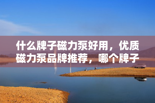 什么牌子磁力泵好用，优质磁力泵品牌推荐，哪个牌子更值得信赖？