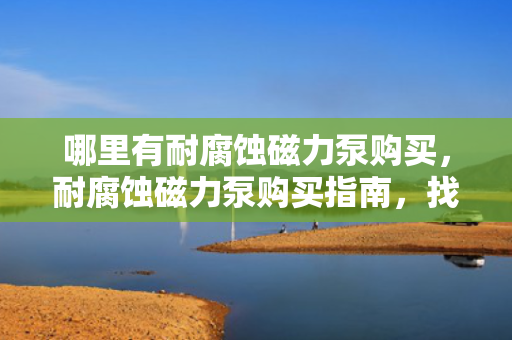 哪里有耐腐蚀磁力泵购买，耐腐蚀磁力泵购买指南，找到最适合您的产品
