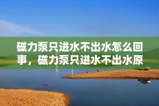 磁力泵只进水不出水怎么回事，磁力泵只进水不出水原因解析