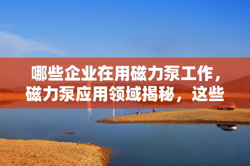 哪些企业在用磁力泵工作，磁力泵应用领域揭秘，这些企业正在使用磁力泵提升工作效率
