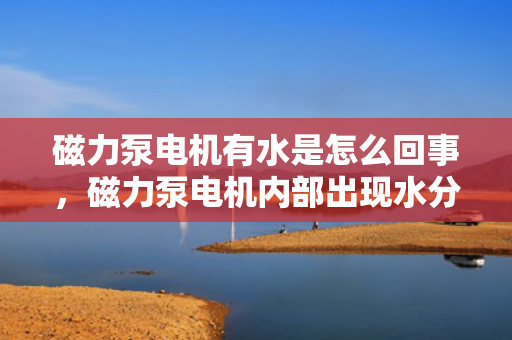磁力泵电机有水是怎么回事，磁力泵电机内部出现水分的原因及解决方法