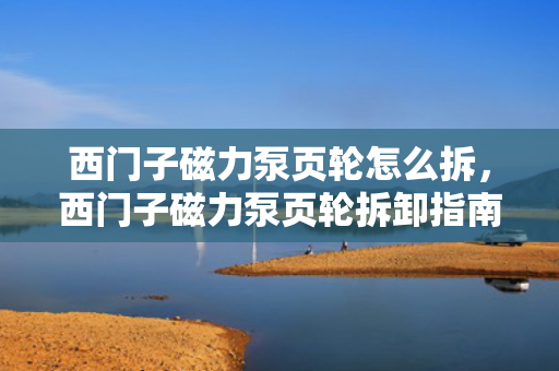 西门子磁力泵页轮怎么拆，西门子磁力泵页轮拆卸指南