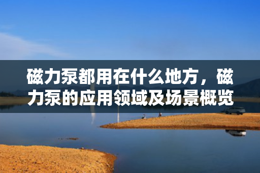 磁力泵都用在什么地方，磁力泵的应用领域及场景概览