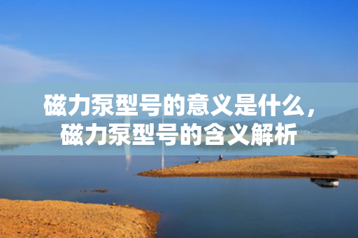 磁力泵型号的意义是什么，磁力泵型号的含义解析