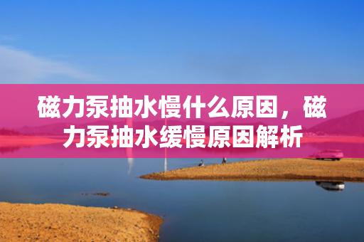 磁力泵抽水慢什么原因，磁力泵抽水缓慢原因解析