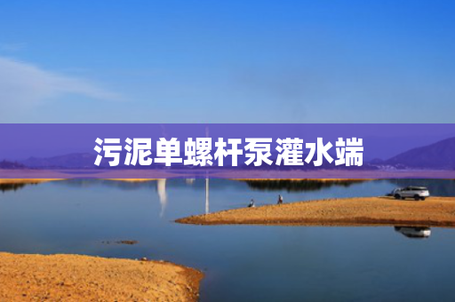 污泥单螺杆泵灌水端