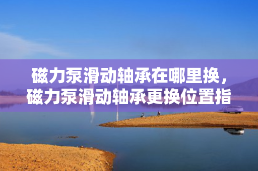 磁力泵滑动轴承在哪里换，磁力泵滑动轴承更换位置指南