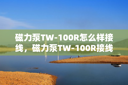 磁力泵TW-100R怎么样接线，磁力泵TW-100R接线方法详解