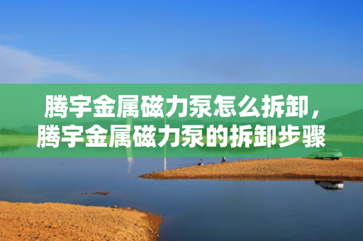 腾宇金属磁力泵怎么拆卸，腾宇金属磁力泵的拆卸步骤详解