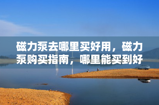 磁力泵去哪里买好用，磁力泵购买指南，哪里能买到好用的磁力泵