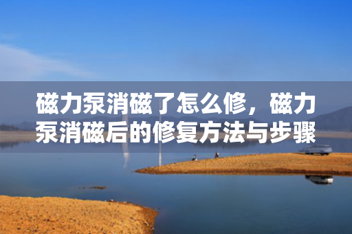 磁力泵消磁了怎么修，磁力泵消磁后的修复方法与步骤