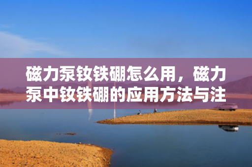磁力泵钕铁硼怎么用，磁力泵中钕铁硼的应用方法与注意事项